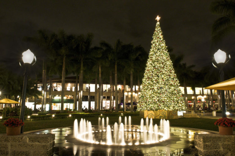 Dónde disfrutar de las mejores luces navideñas en Miami